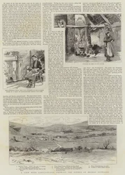 Boycotting in Ireland